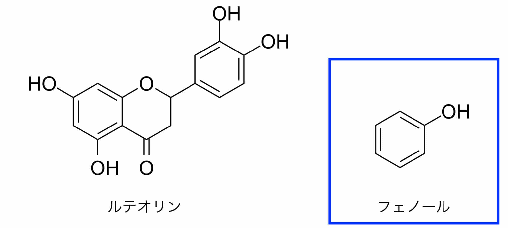 機能性表示食品ルテオリンについて解説